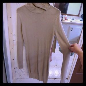Long sleeve Turtle neck dress
